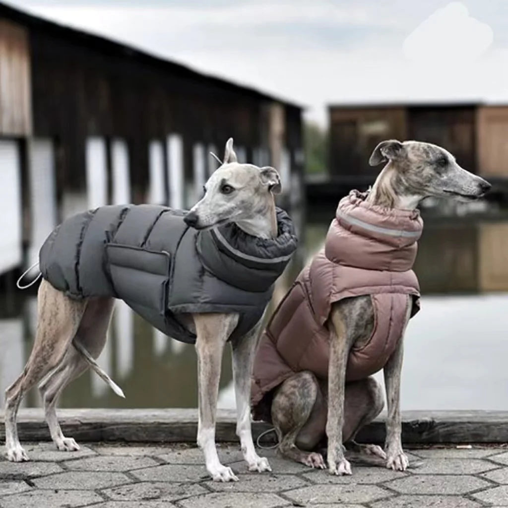 Thermal Hondenvest