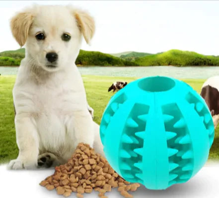 Interactie Rubber Voeding bal voor Honden