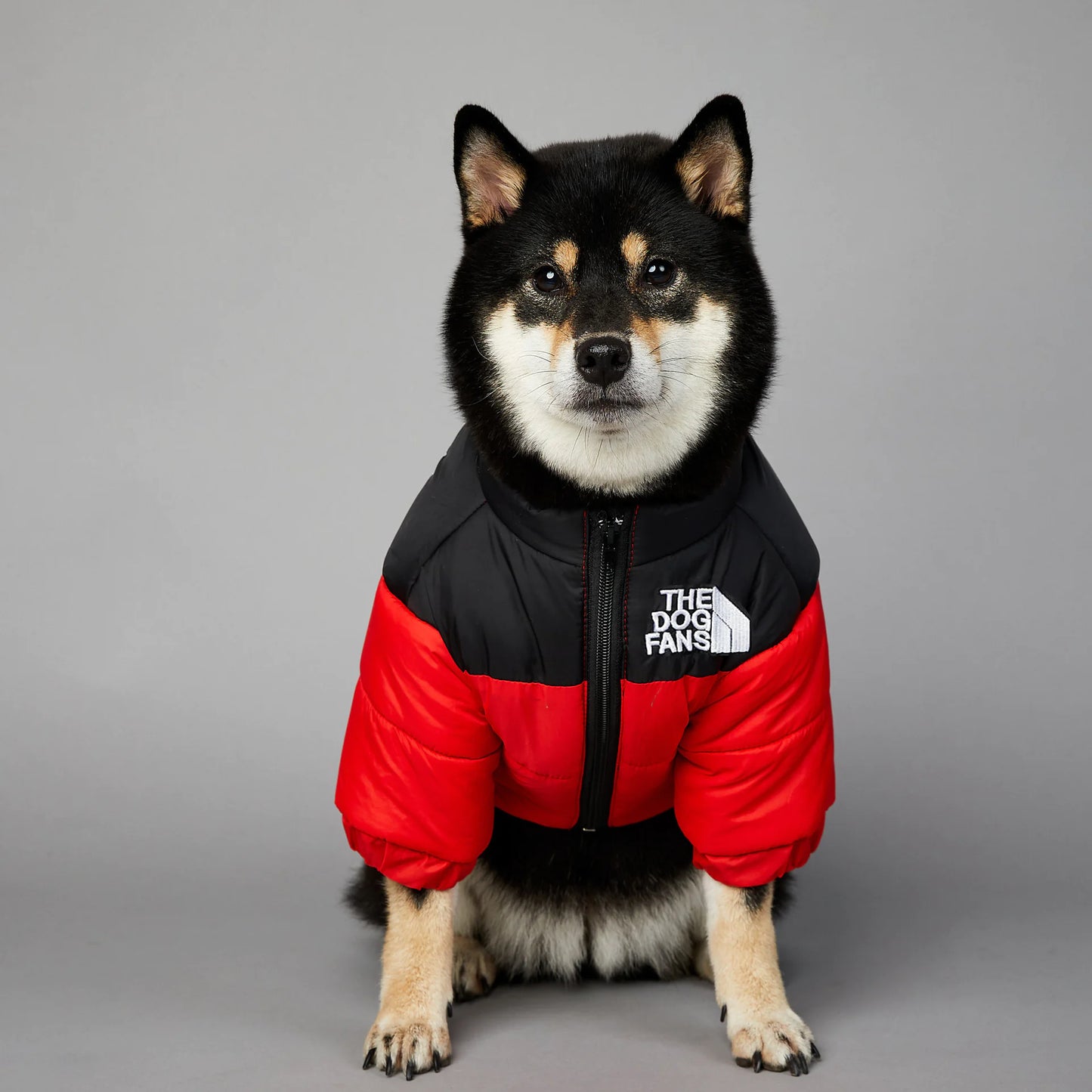 The Dog Face Regenjas - Houd uw hond droog en stijlvol